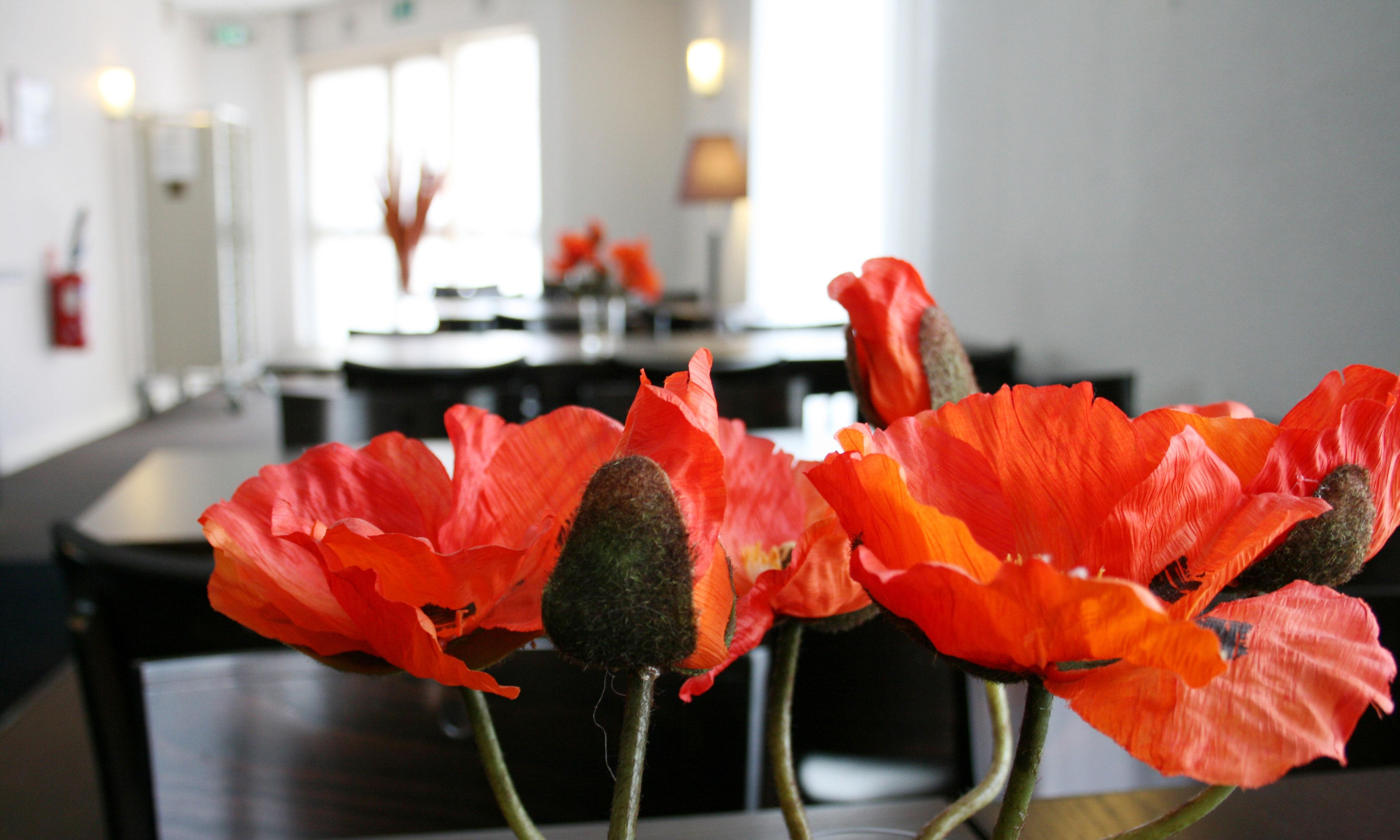 Готель Ibis Paris Nation Davout Екстер'єр фото